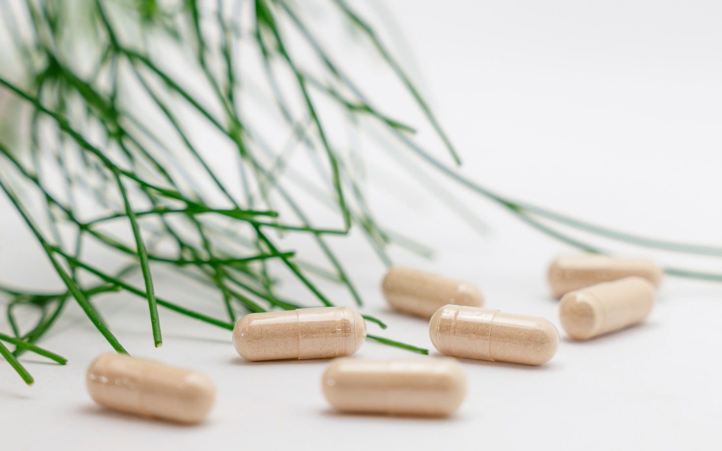 Os avanços nos suplementos que você precisa conhecer