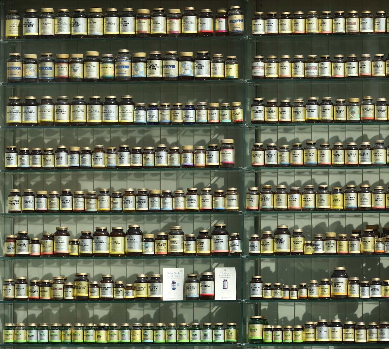 Os melhores suplementos para uma saúde ótima em 2026